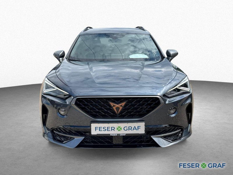 Cupra Formentor 2.0 TSI 190 ch BVA 4Drive  occasion  L'Union - photo n2