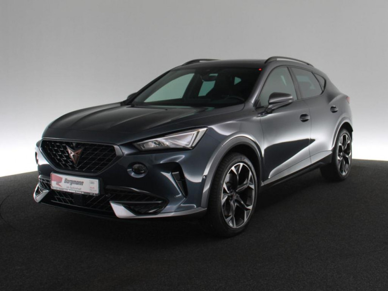 Cupra Formentor 2.0 TSI 245 ch BVA  occasion � L'Union - photo n�2