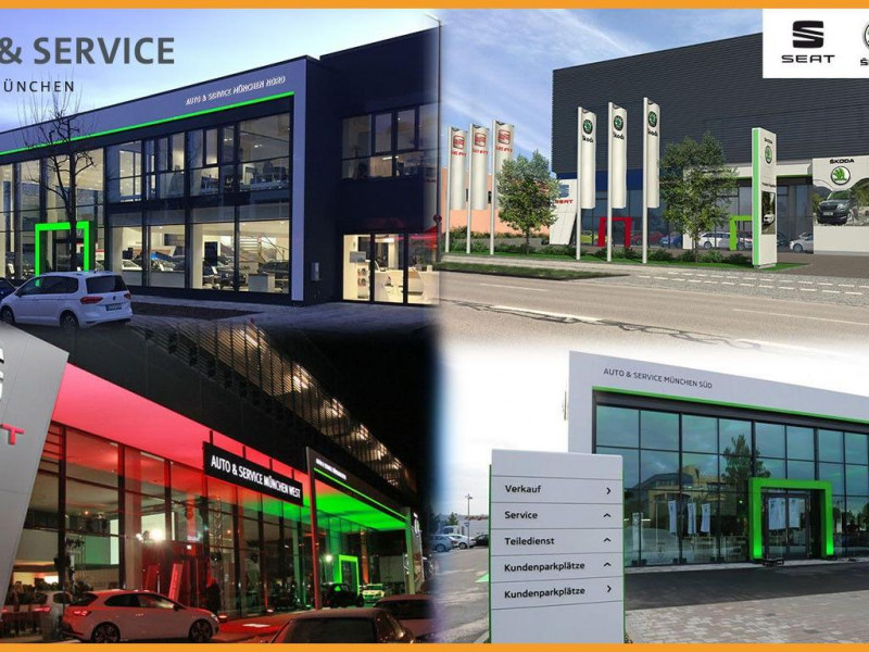 Cupra Formentor 2.0 TSI 310 ch BVA 4Drive  occasion  L'Union - photo n15