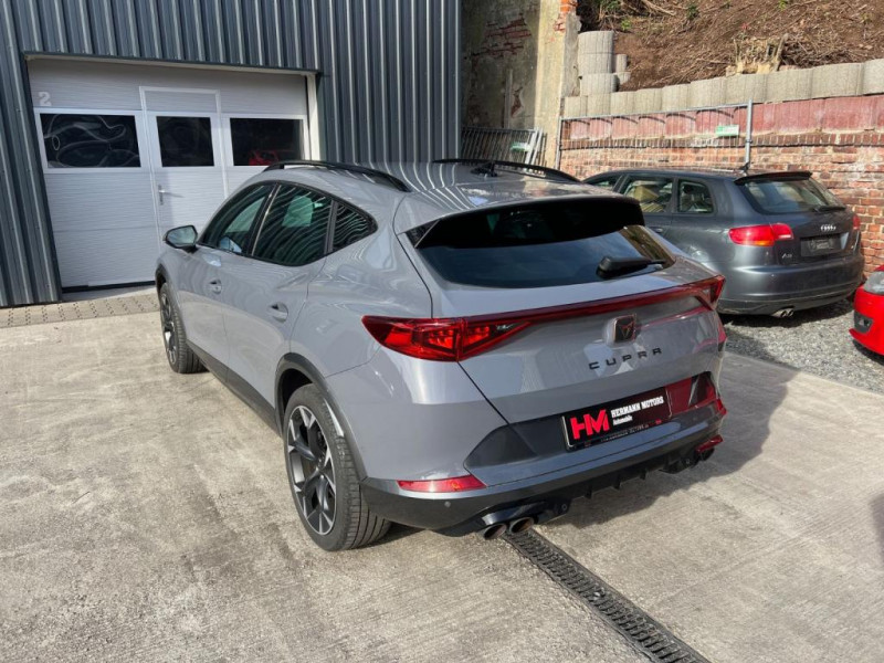 Cupra Formentor 2.0 TSI 310 ch BVA 4Drive  occasion  L'Union - photo n6