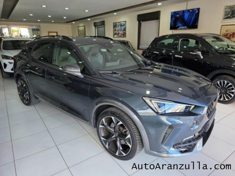 Cupra Formentor CUPRA Formentor 2.0 TDI 150CV Navi - Sedili Buck  occasion  L'Union - photo n3