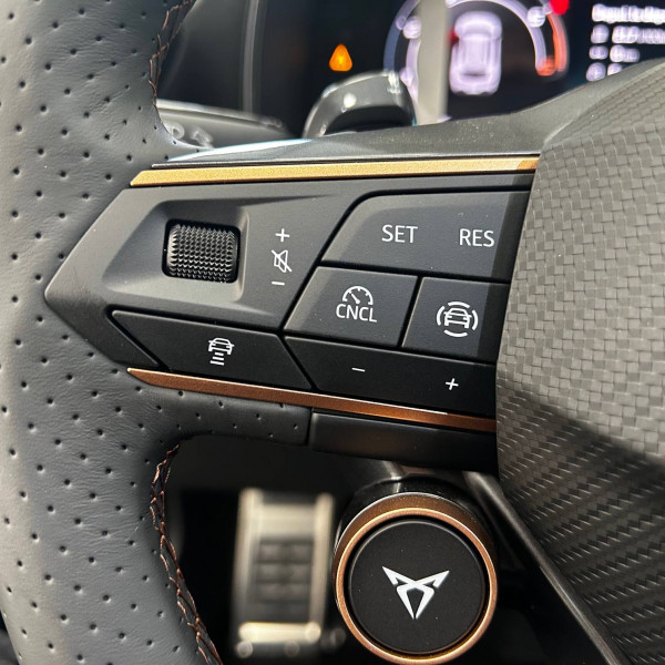 Cupra Formentor Formentor 2.0 TDI 150 ch DSG7 V 5p  occasion  Tarbes - photo n17