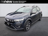 Annonce Dacia Sandero occasion Essence ECO-G 100 Stepway Expression +  SAINT DOULCHARD