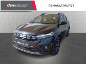 Dacia Sandero ECO-G 100 Stepway Expression   Muret 31