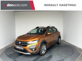 Annonce Dacia Sandero occasion Essence Sandero TCe 90 Stepway Confort 5p  Hagetmau
