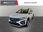 Dacia Sandero TCe 90 - 22 Stepway Confort   Muret 31