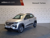 Dacia Spring Business 2020   TARBES 65