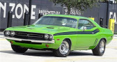 Dodge Challenger 2 occasion 1971 Dodge Challenger 2   à LYON 69