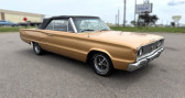 Annonce Dodge Coronet occasion Essence Convertible  LYON