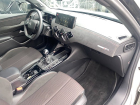 DS DS3 DS3 Crossback PureTech 100 BVM6 Performance Line 5p  occasion � Lescure-d'Albigeois - photo n�16