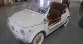 Annonce Fiat 500 occasion Essence   LYON
