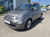 Annonce Fiat 500 occasion Hybride 1.0 70ch BSG S&S Lounge  Olivet