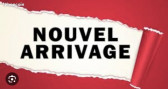 Annonce Fiat 500 occasion Essence 1.2 69 CH Lounge  Moneteau