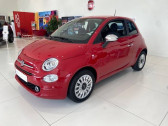 Annonce Fiat 500 occasion Essence 500 1.0 70 ch Hybride BSG S/S  3p  Toulouse