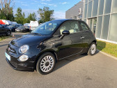 Annonce Fiat 500 occasion Essence 500 1.2 69 ch Eco Pack Lounge 3p  Toulouse