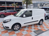 Annonce Fiat Doblo occasion Diesel 1.6 D Multijet 105 PACK PRO 3PL  Montauban