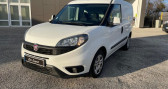 Annonce Fiat Doblo occasion Diesel CARGO 1.6 MULTIJET 105 PRO LOUNGE  Saint Paul les Romans