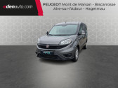 Annonce Fiat Doblo occasion Diesel CARGO FT 1.3 MULTIJET 95 PACK PROFESSIONAL TRIO NAV � Aire sur Adour