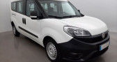 Annonce Fiat Doblo occasion Diesel CARGO MAXI 1.3 MULTIJET 95 à CHANAS