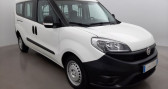 Annonce Fiat Doblo occasion Diesel CARGO MAXI 1.3 MULTIJET 95 à MIONS