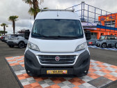 Annonce Fiat Ducato occasion Diesel 2.3 MultiJet 130 3.3 M H2 BUSINESS GPS Camra Galerie  Montauban
