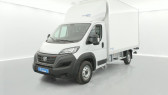 Fiat Ducato occasion année 2022 boite Manuelle Annonce Fiat Ducato occasion Diesel 3.5 Maxi HD L 2.2 H3-Power 160ch Business +Caisse grand volu à SAINT-GREGOIRE