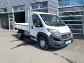 Fiat Ducato occasion année 2019 boite Manuelle Annonce Fiat Ducato occasion Diesel DUCATO CC BENNE MAXI 3.5 M 2.3 MJT 140 PACK 2p à Toulouse