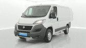 Fiat Ducato occasion année 2017 Annonce Fiat Ducato occasion DUCATO TOLE 3.0 C H1 2.3 MJT 130 EURO 6 PACK PRO NAV 4p à SAINT-GREGOIRE