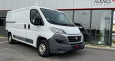 Annonce Fiat Ducato occasion Diesel Tl Pack Professional 3.0 M H1 2.3 Multijet 130CH - 12 160H  Marlenheim