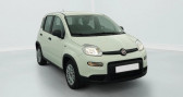 Annonce Fiat Panda occasion Hybride 1.0 70 BSG HYBRID MHEV START-STOP � Replonges