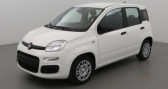 Fiat Panda occasion année 2025 boite Manuelle Annonce Fiat Panda occasion Hybride 1.0 70 ch Hybrid BSG S/S City -12% ! à SAINT HEAND