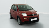 Annonce Fiat Panda occasion Hybride 1.0 70 CH HYBRID BSG S S � SAINT-GREGOIRE