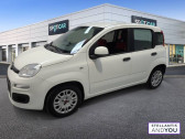 Fiat Panda occasion année 2021 boite Manuelle Annonce Fiat Panda occasion Essence 1.0 70 ch Hybride BSG S/S Easy à ORVAULT