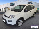 Fiat Panda occasion année 2024 boite Manuelle Annonce Fiat Panda occasion Essence 1.0 70 ch Hybride BSG S/S à TOURS