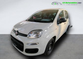 Annonce Fiat Panda occasion Essence 1.0 70 ch Hybride BSG à Beaupuy