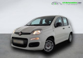 Annonce Fiat Panda occasion Essence 1.0 70 ch Hybride BSG à Beaupuy