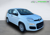Fiat Panda occasion année 2021 boite Manuelle Annonce Fiat Panda occasion Essence 1.0 70 ch Hybride BSG à Beaupuy