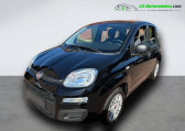 Fiat Panda occasion année 2018 boite Manuelle Annonce Fiat Panda occasion Essence 1.0 70 ch Hybride BSG à Beaupuy