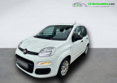 Fiat Panda occasion année 2021 boite Manuelle Annonce Fiat Panda occasion Essence 1.0 70 ch Hybride BSG à Beaupuy