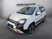 Annonce Fiat Panda occasion Hybride 1.0 70ch BSG S&S City Cross Plus  Le Mans