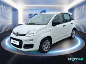 Fiat Panda occasion année 2021 boite Manuelle Annonce Fiat Panda occasion Essence 1.0 70ch BSG S&S City à COMPIEGNE