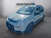 Annonce Fiat Panda occasion Hybride 1.0 70ch BSG S&S City � Le Mans