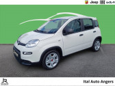 Annonce Fiat Panda occasion Essence 1.0 70ch BSG S&S Pack Confort & Tech  ANGERS