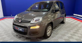 Annonce Fiat Panda occasion Essence 1.0i 70 City  ROUEN