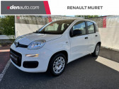 Annonce Fiat Panda occasion Essence 1.2 8V 69 ch Easy  Muret