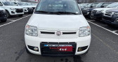 Annonce Fiat Panda occasion Diesel 1.2 8V 69CH 30 EURO5 � Murat