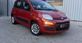 Annonce Fiat Panda occasion Essence 1.2 8V 69CH EASY � LA GARDE