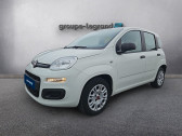 Annonce Fiat Panda occasion Essence 1.2 8v 69ch Pop  Le Havre