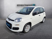 Annonce Fiat Panda occasion Essence 1.2 8v 69ch � Saint-Brieuc