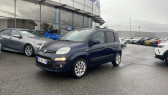 Fiat Panda occasion année 2016 boite Manuelle Annonce Fiat Panda occasion Diesel 1.3 MULTIJET 16V 95CH S&S LOUNGE à Labège